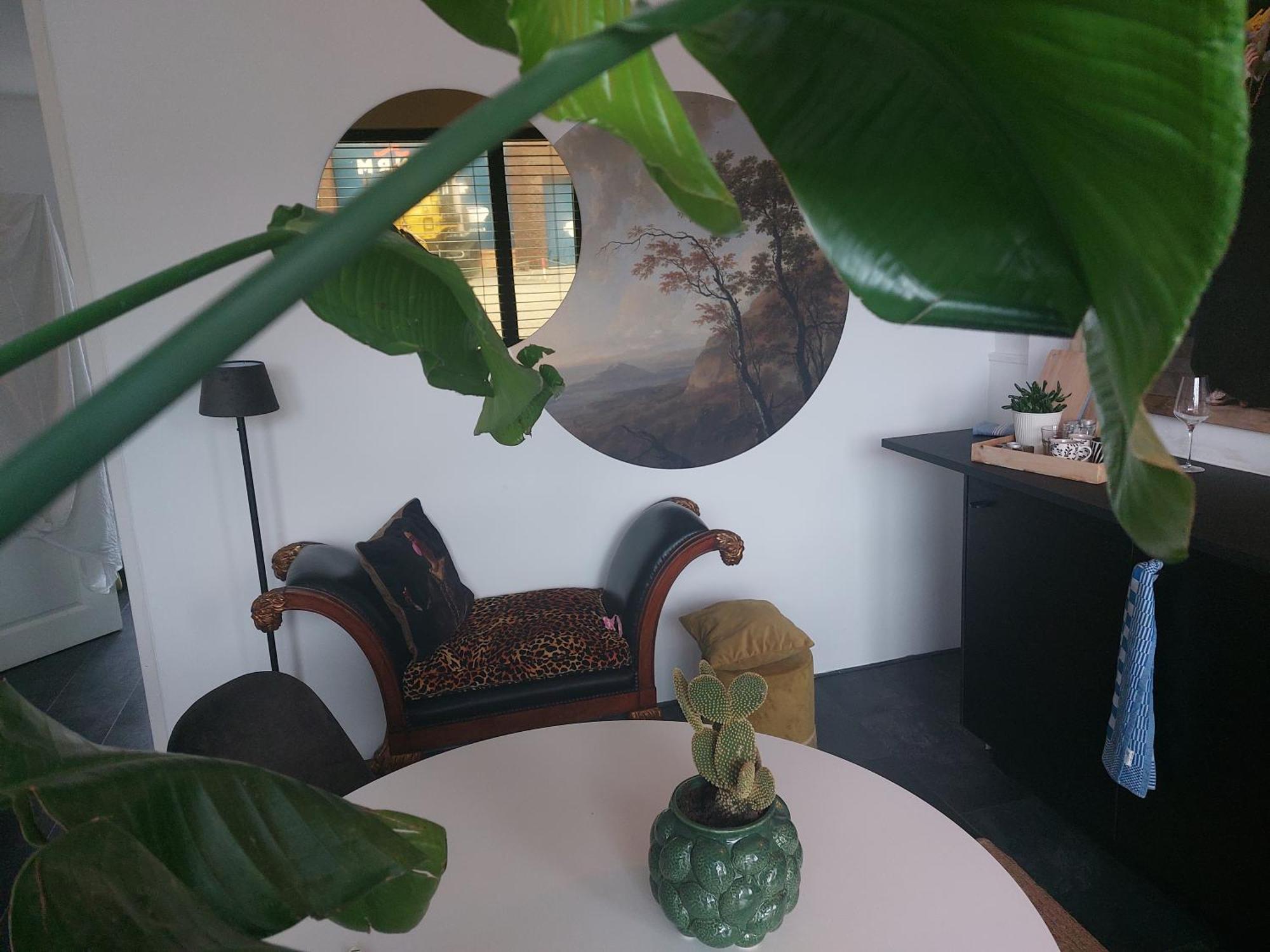 Rembrandtsbeachsuite Zandvoort Εξωτερικό φωτογραφία
